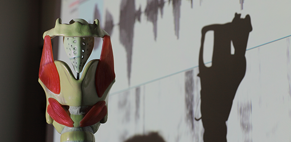 Model named 'Larry the Larynx'